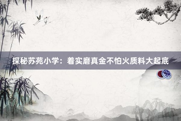 探秘苏苑小学：着实磨真金不怕火质料大起底